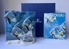 Swarovski 2007 community usato  Spedire a Italy