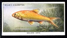 Wills pond aquarium for sale  HUNTINGDON