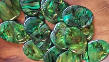 Natural abalone 25x18 for sale  North Kingstown
