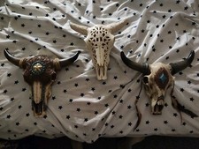 Native american buffalo for sale  Rosedale
