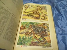 Tierreich sammelbilderalbum vo gebraucht kaufen  Isernhagen