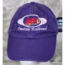 Tweetsie railroad steam for sale  Taylorsville