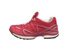 Lowa gorgon gtx gebraucht kaufen  Gersthofen