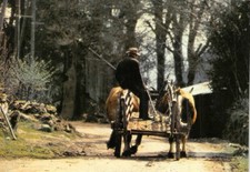 Tableau limousin pittoresque d'occasion  France