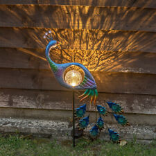 Outdoor peacock animal for sale  LEICESTER