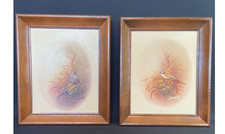 Vintage framed bird for sale  Hickory Hills