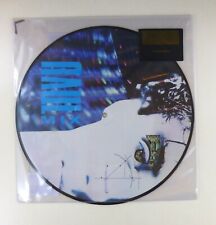 12" LP Vinyl - Various – Raul Mix – Picture Disc T3831 Z08 comprar usado  Enviando para Brazil