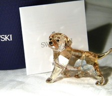 Swarovski crystal golden for sale  STANSTED