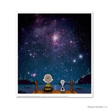 Peanuts stars hand for sale  North Las Vegas