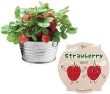 Indoor mini grow for sale  Liberty