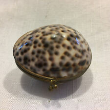 Polished tiger cowrie for sale  Great River