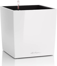 Cube premium bianco usato  Roma