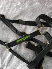 greenguard headcollar for sale greenguard headcollar for sale NEATH
