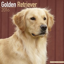 Calendrier 2016 golden d'occasion  Troyes