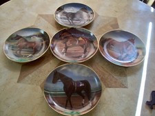 Racehorse plates champion for sale  Brownwood