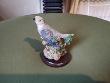 Cuckoo country bird for sale  NORTHAMPTON
