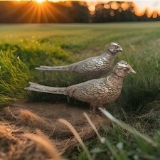 J.b. antique pheasant for sale  Denair