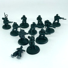 Cadian guardsmen squad for sale  CHICHESTER