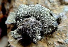 Mineralien galenit pyrit gebraucht kaufen  Sundern (Sauerland)