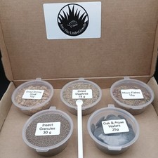 Medium tropical fish for sale  COVENTRY