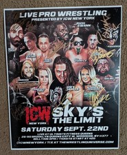 9 Auto ICW Skys The Limit 11x14 Psicosis Nick Gage Homicide Penelope Ford Janela comprar usado  Enviando para Brazil