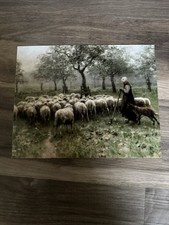 Antique sheep shepherdess for sale  Omaha