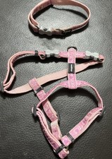 red dingo dog collar for sale red dingo dog collar for sale PETERBOROUGH