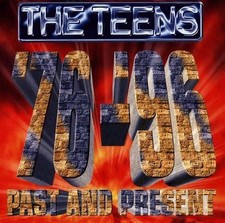 The teens past gebraucht kaufen  Berlin