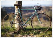 Bianchi specialissima super usato  Montespertoli