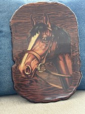 Classic 70s pony for sale  Ocala