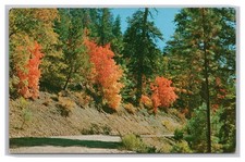 Karr canyon road for sale  Chandler