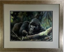 Joel kirk gorillas for sale  BOURNEMOUTH