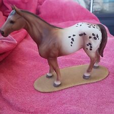 Appaloosa brown horse for sale  Leesburg