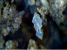 Baryte malines rare d'occasion  Castries