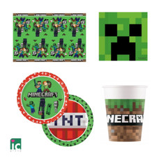 Kit coordinato minecraft usato  Napoli