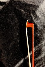 Noctilucent grace violine gebraucht kaufen  Rauschenberg