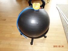 Gaiam ultimate balance for sale  Edgewater