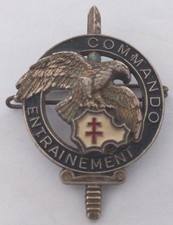 Insigne mili commando d'occasion  Peyrolles-en-Provence