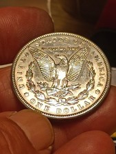 Moneta usa splendida usato  Roma