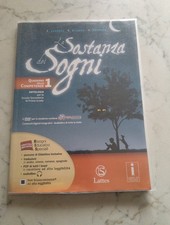 Sostanza dei sogni usato  Torino