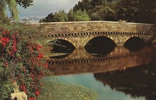 Ringwood view postcard for sale  NEW MILTON