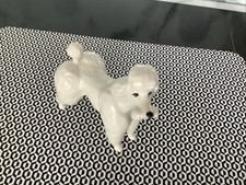 Beswick white poodle for sale  NORWICH