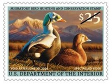 Usado, US RW92 Spectacled Eider $25 single MNH 2025-2026 após 5 de julho comprar usado  Enviando para Brazil
