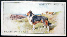 Cartão de cachorro ilustrado vintage 1925 ROUGH COATED COLLIE DE29M, usado comprar usado  Enviando para Brazil