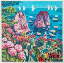Capri maestosità dei usato  Taranto