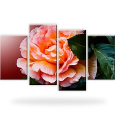 Rose blume wandbilder gebraucht kaufen  Deutschland