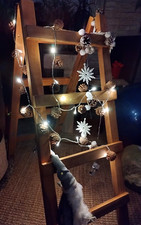 Deko holz leiter gebraucht kaufen Deko holz leiter gebraucht kaufen  Hannover