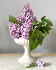 Dartmouth pedestal bowl for sale  ARUNDEL