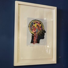 Somesthetic paul insect for sale  NEWCASTLE UPON TYNE