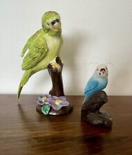 Set parakeet budgie for sale  Highland Mills